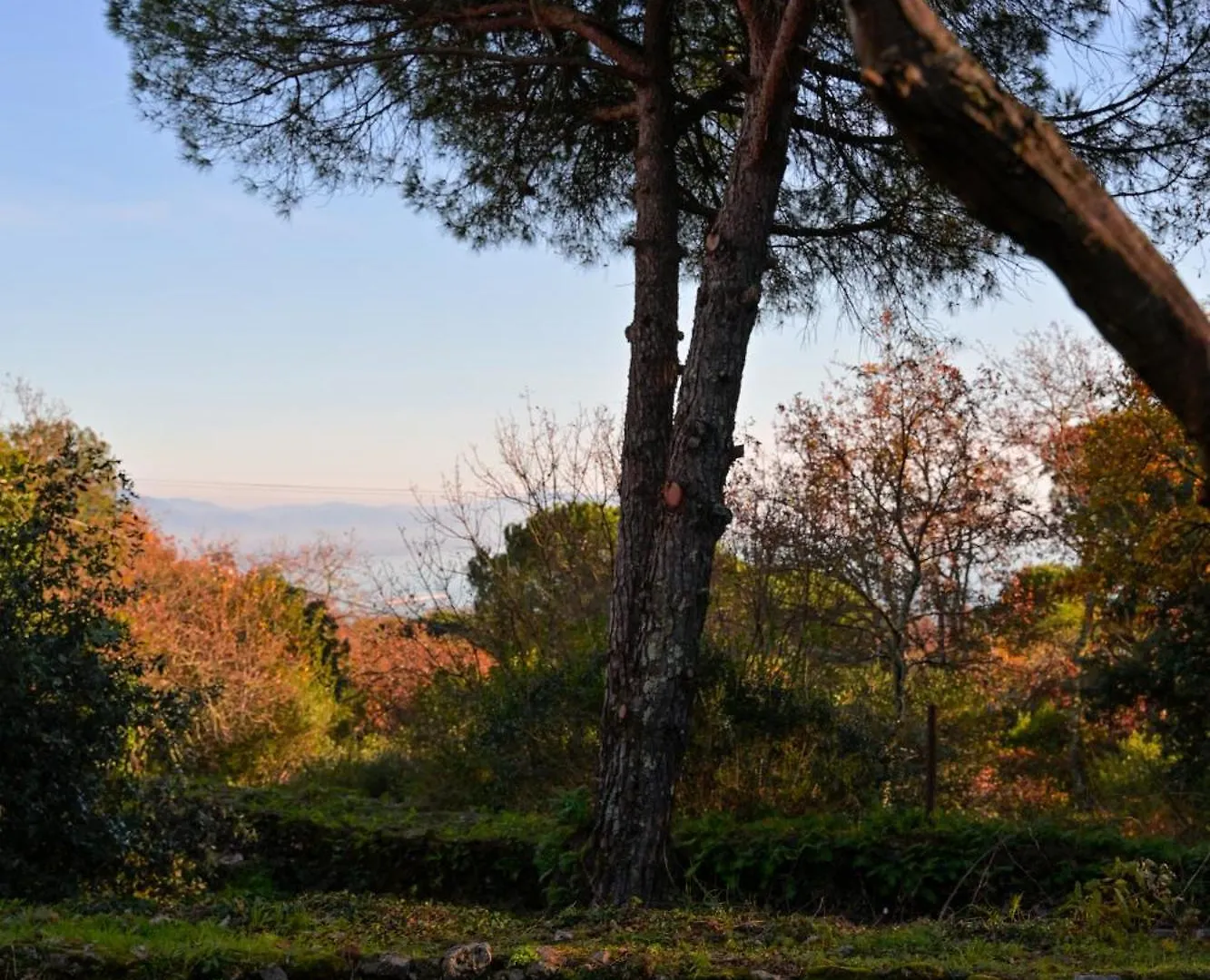 Villa Le Rocce Wellness And Fitness, Only Adults Lerici 0*,